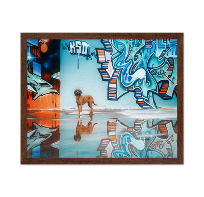 Street Canine Reflections