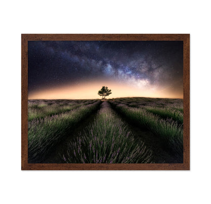 Lavender Way