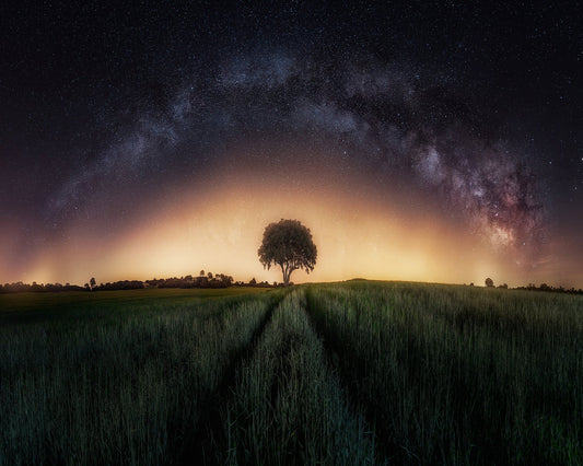 Milky Way Over Lonely Tree