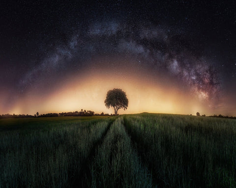 Milky Way Over Lonely Tree