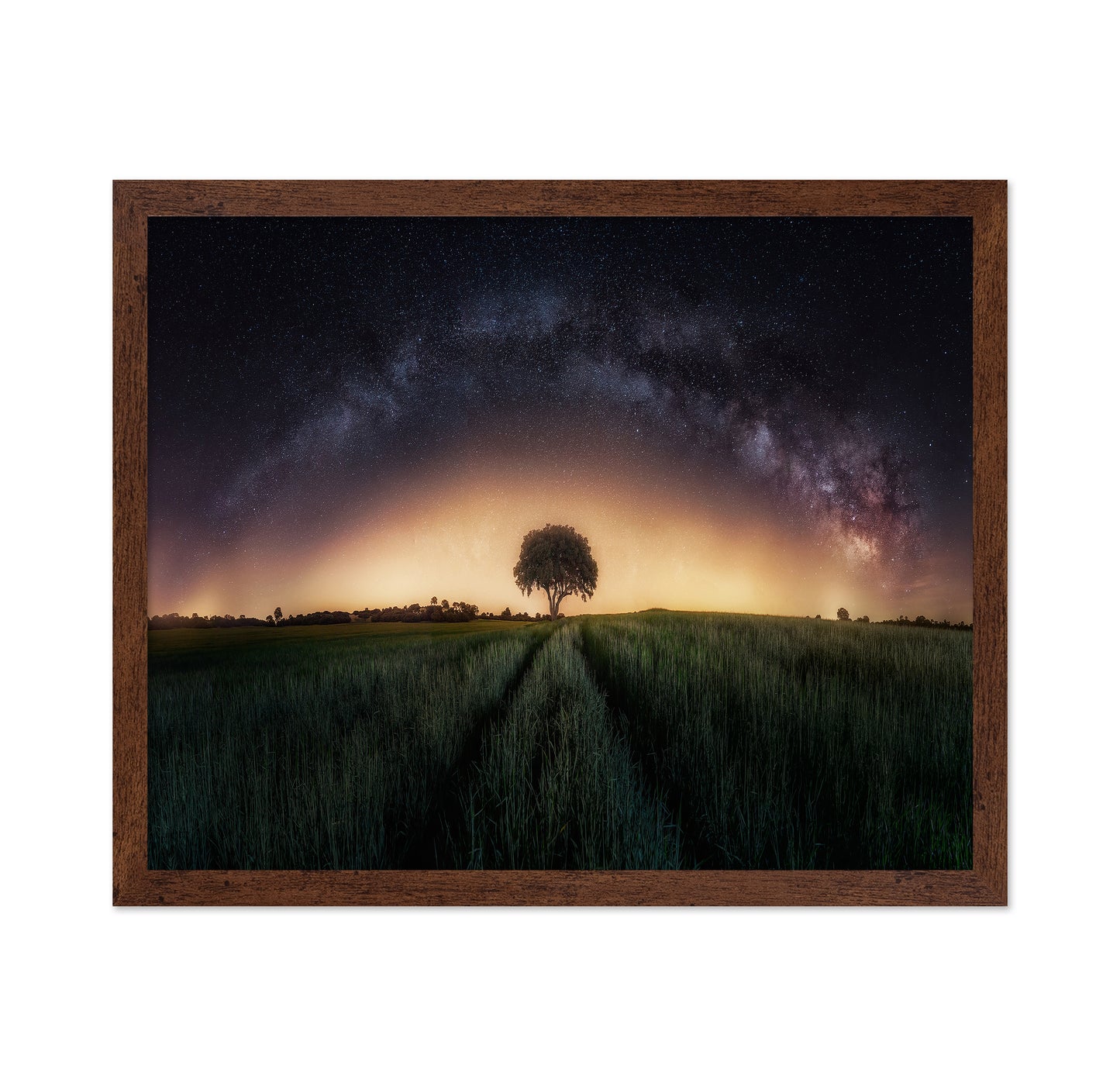 Milky Way Over Lonely Tree