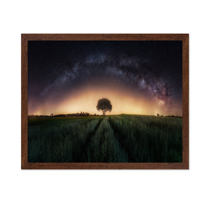 Milky Way Over Lonely Tree
