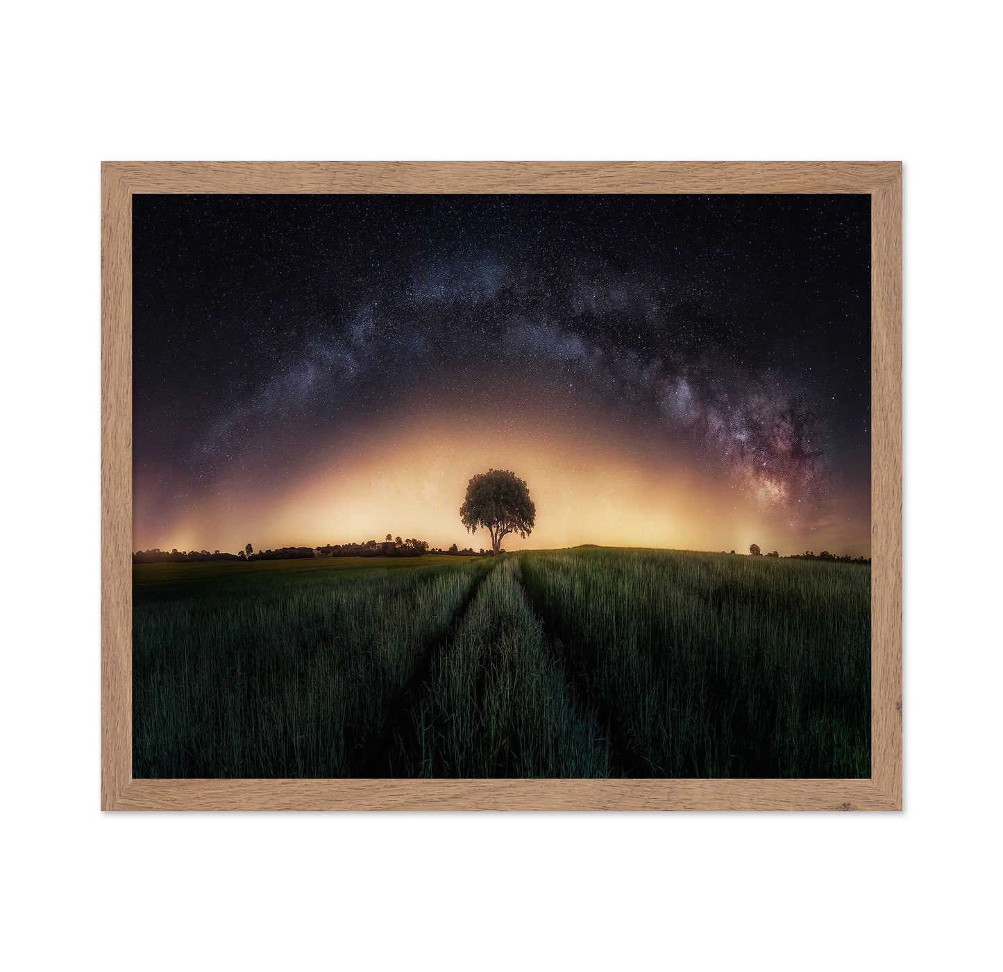 Milky Way Over Lonely Tree