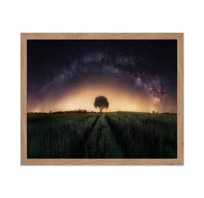 Milky Way Over Lonely Tree