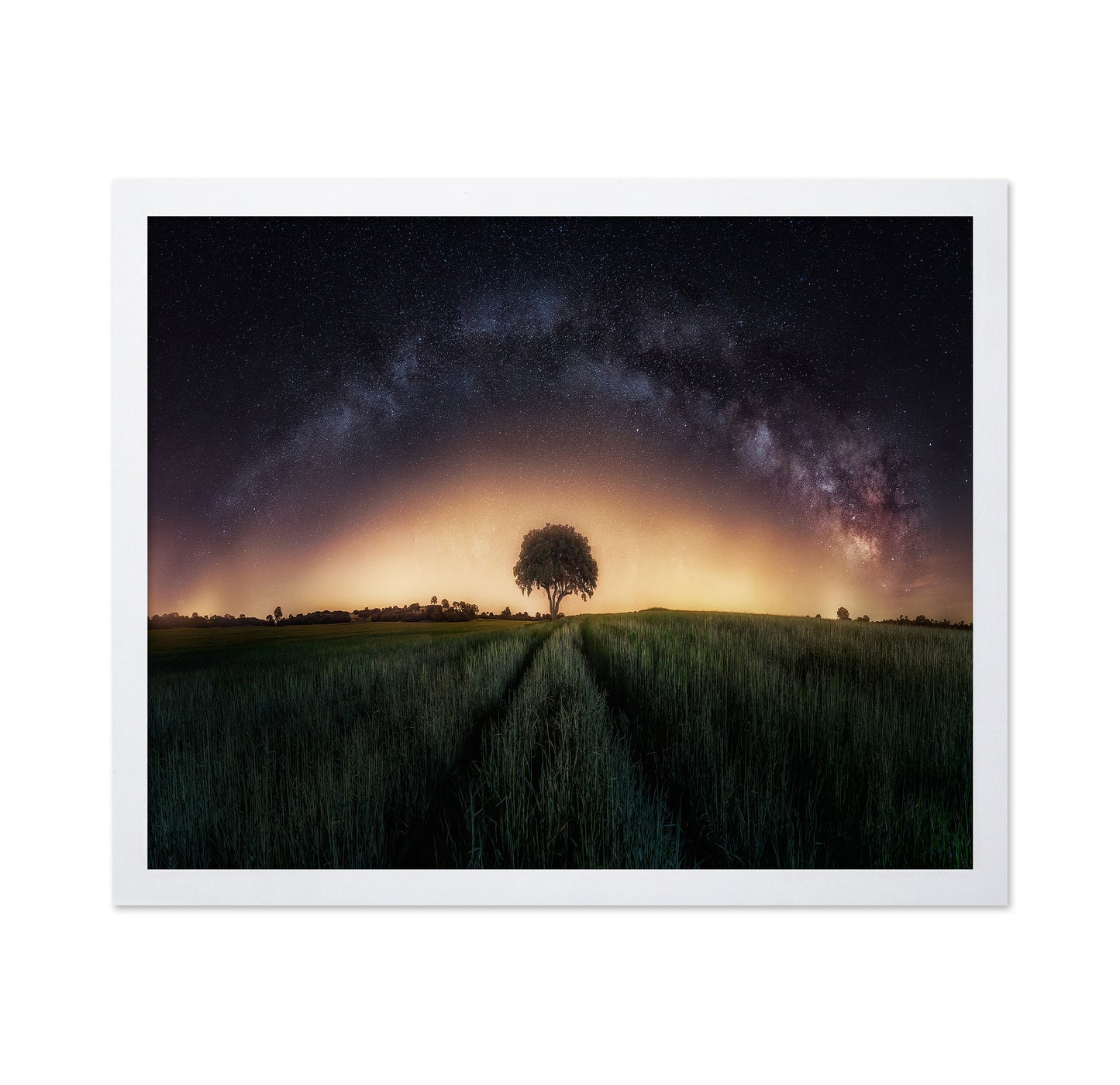 Milky Way Over Lonely Tree