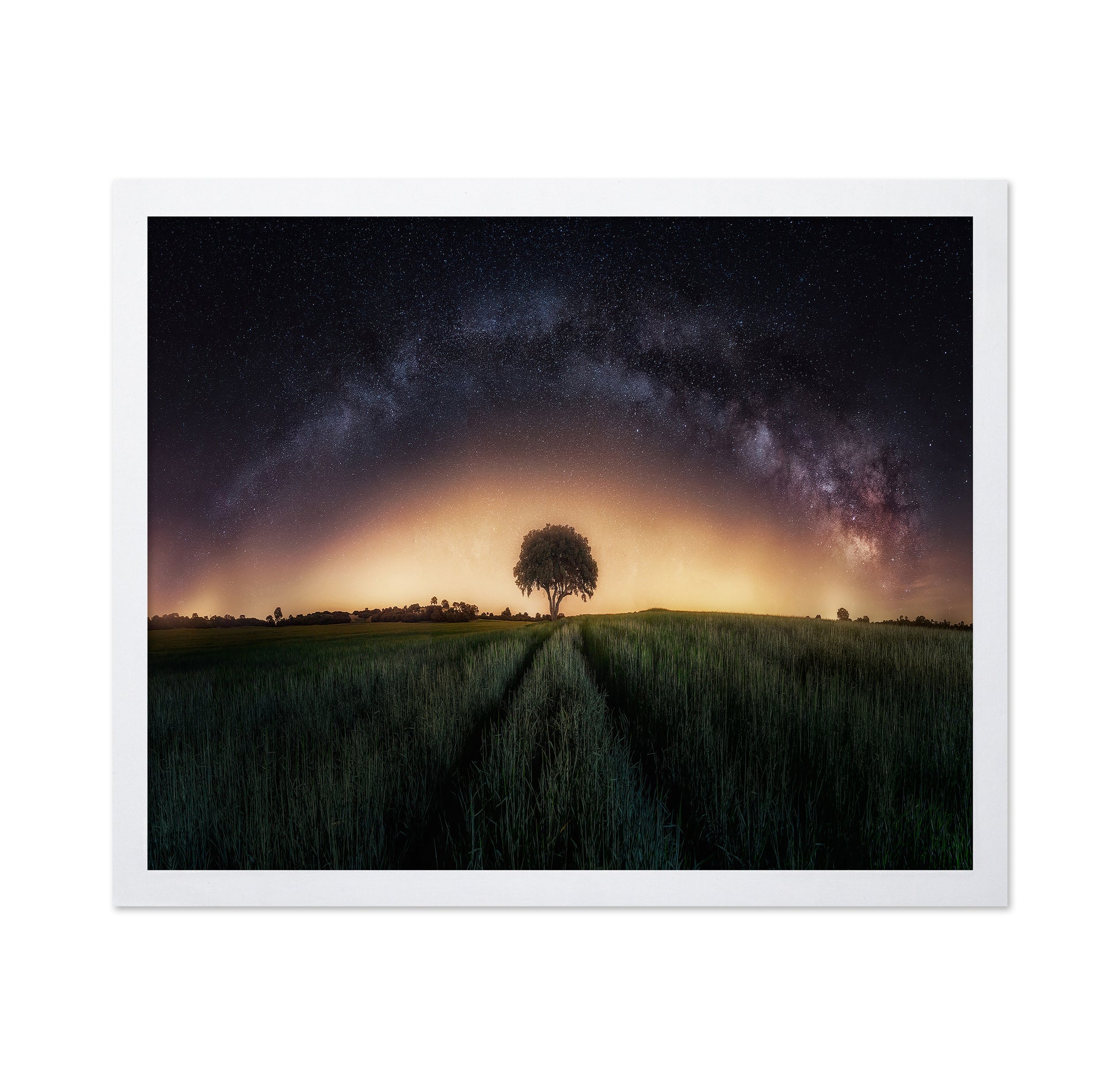 Milky Way Over Lonely Tree
