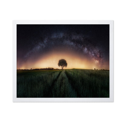 Milky Way Over Lonely Tree