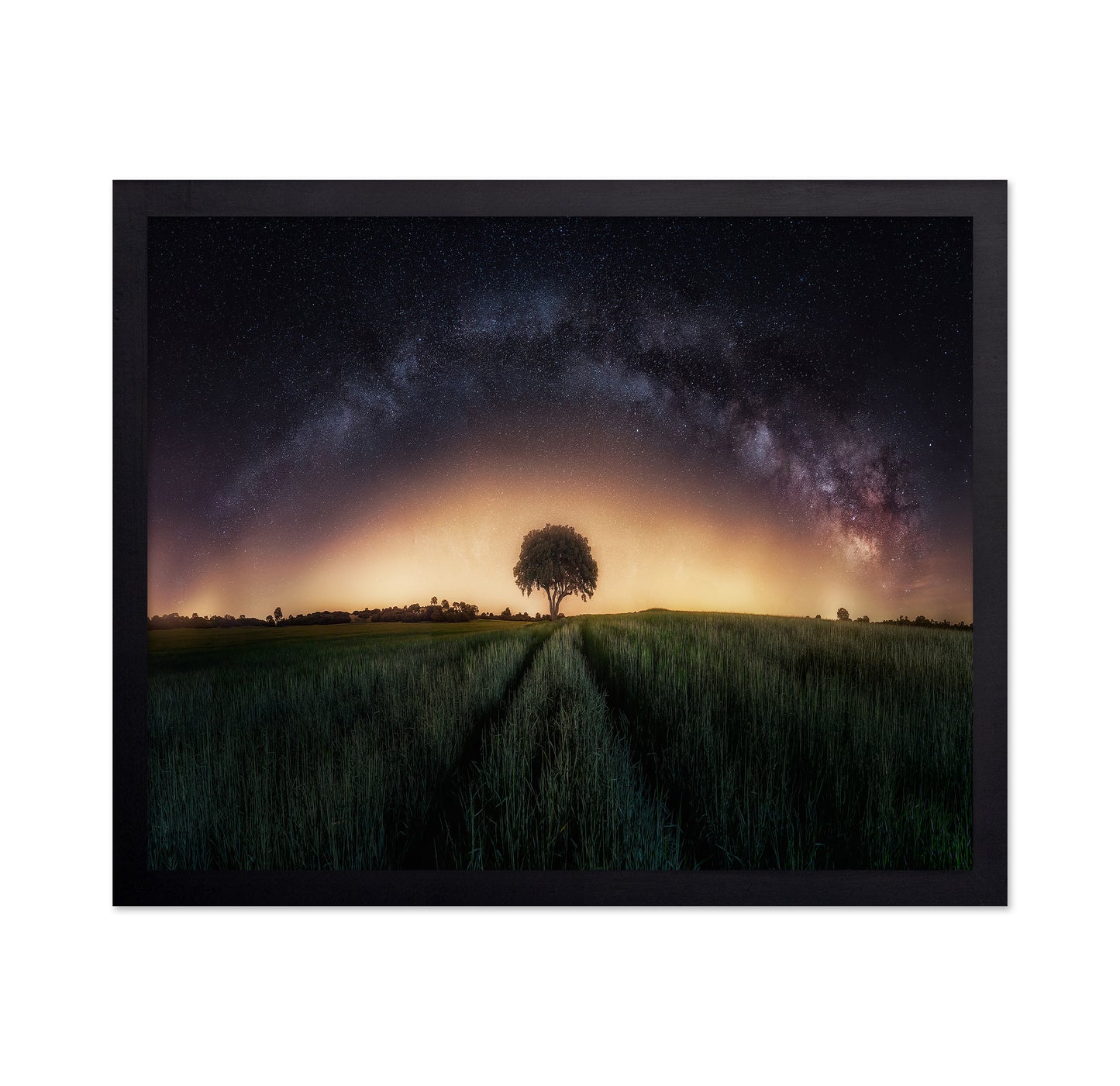 Milky Way Over Lonely Tree