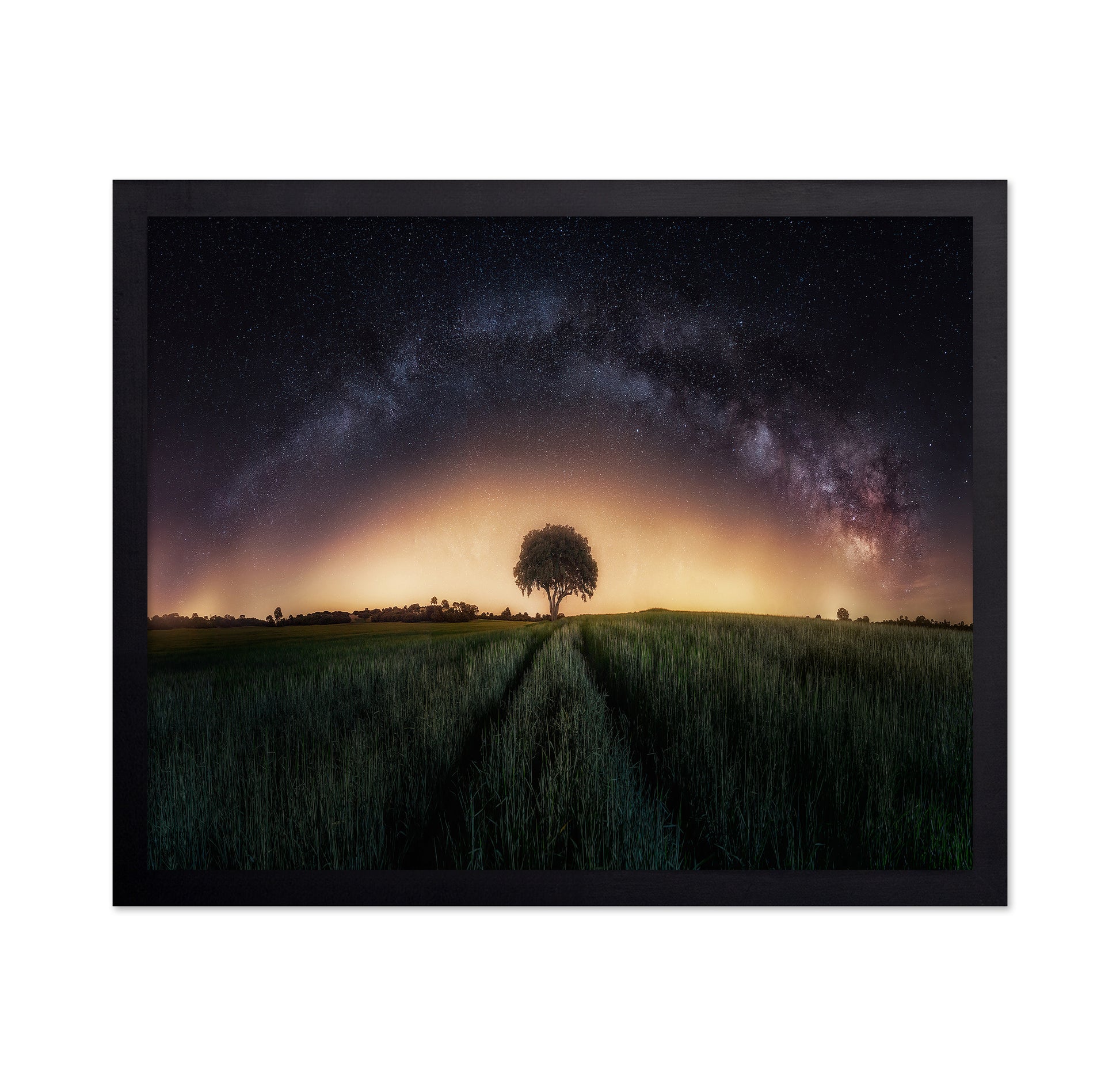 Milky Way Over Lonely Tree