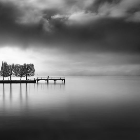 Lake View With Trees