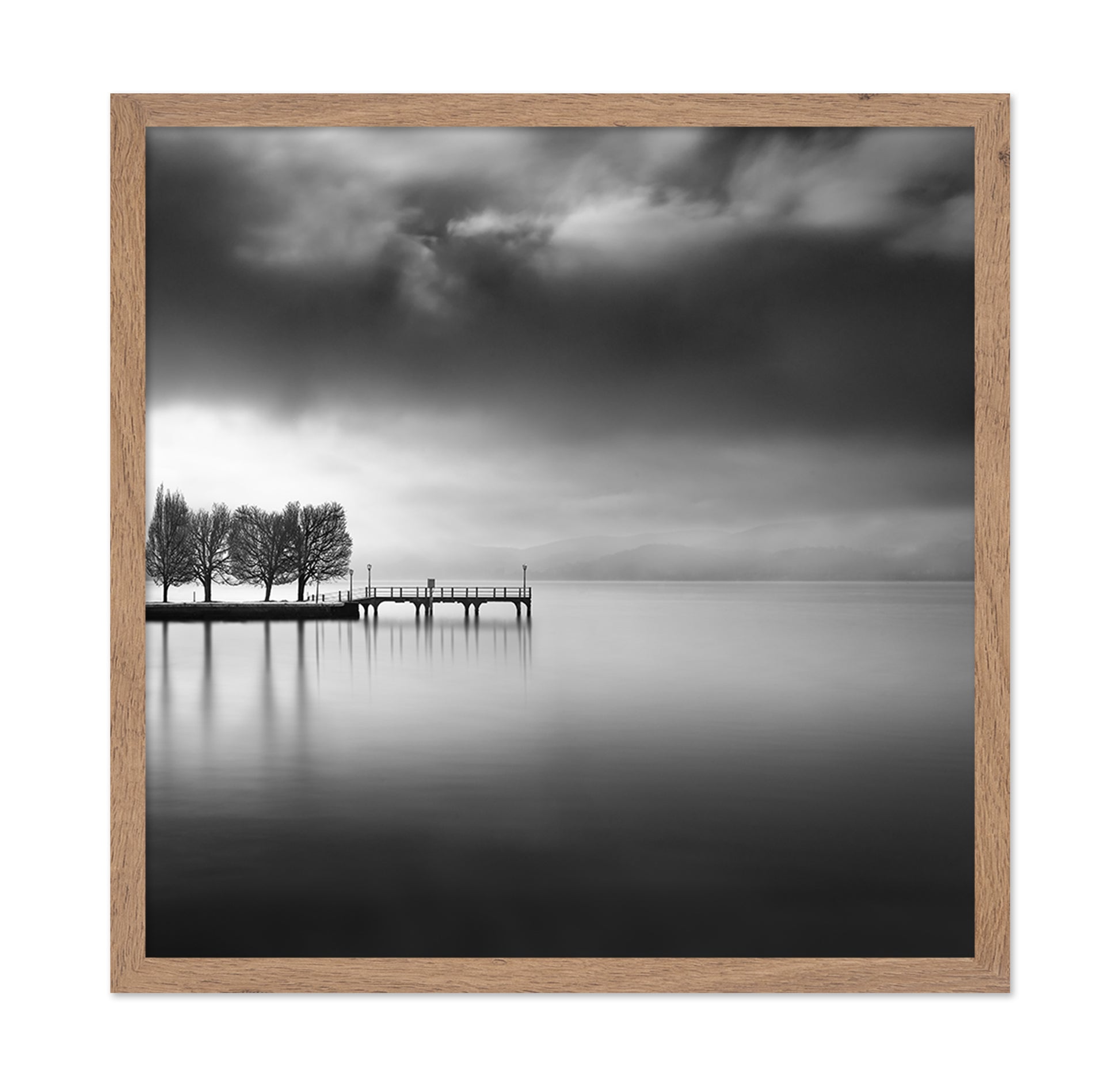 Lake View With Trees
