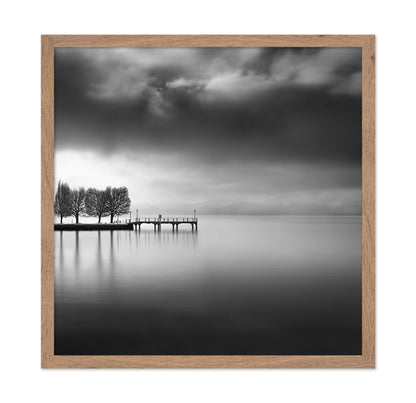 Lake View With Trees