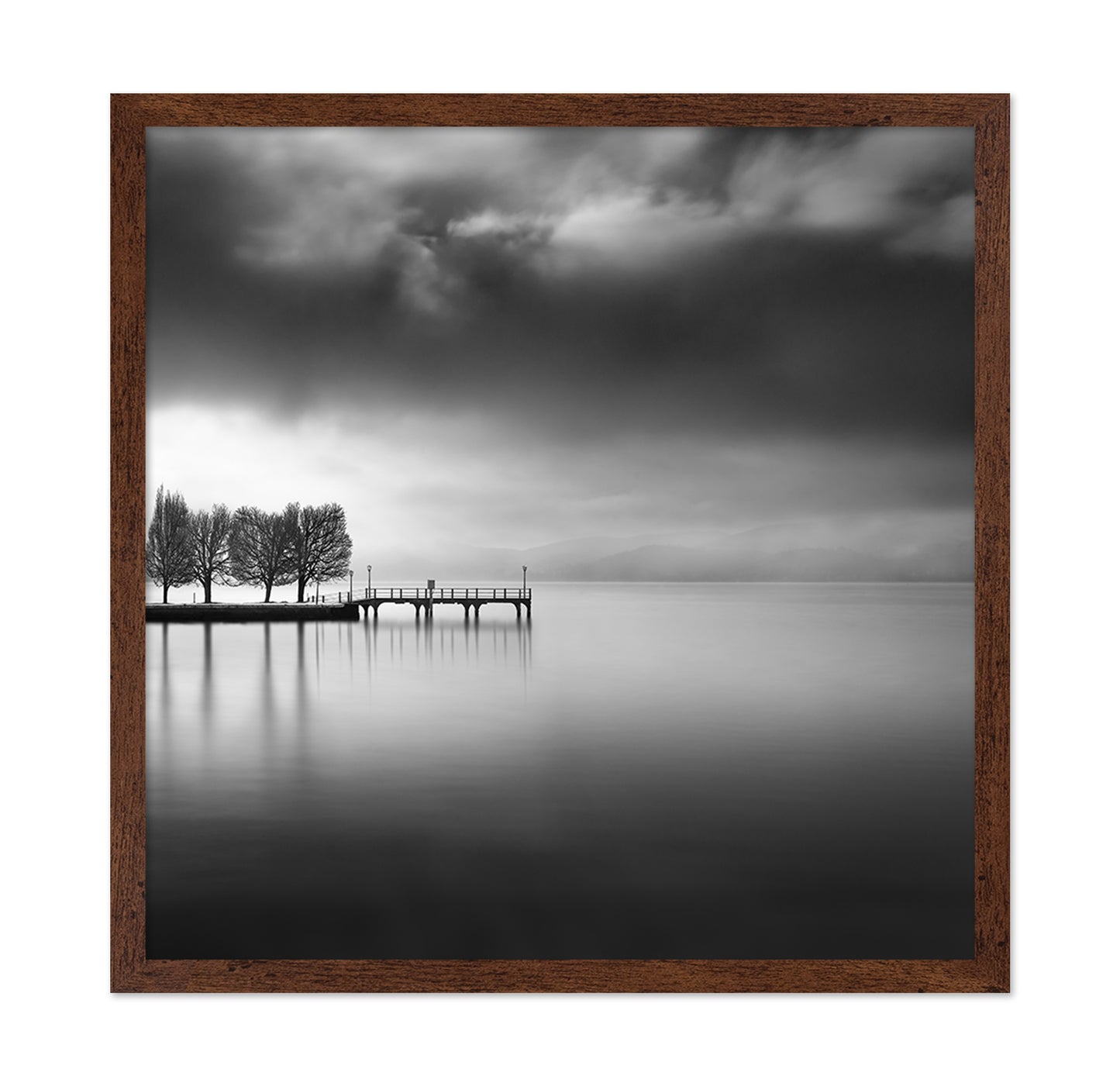 Lake View With Trees