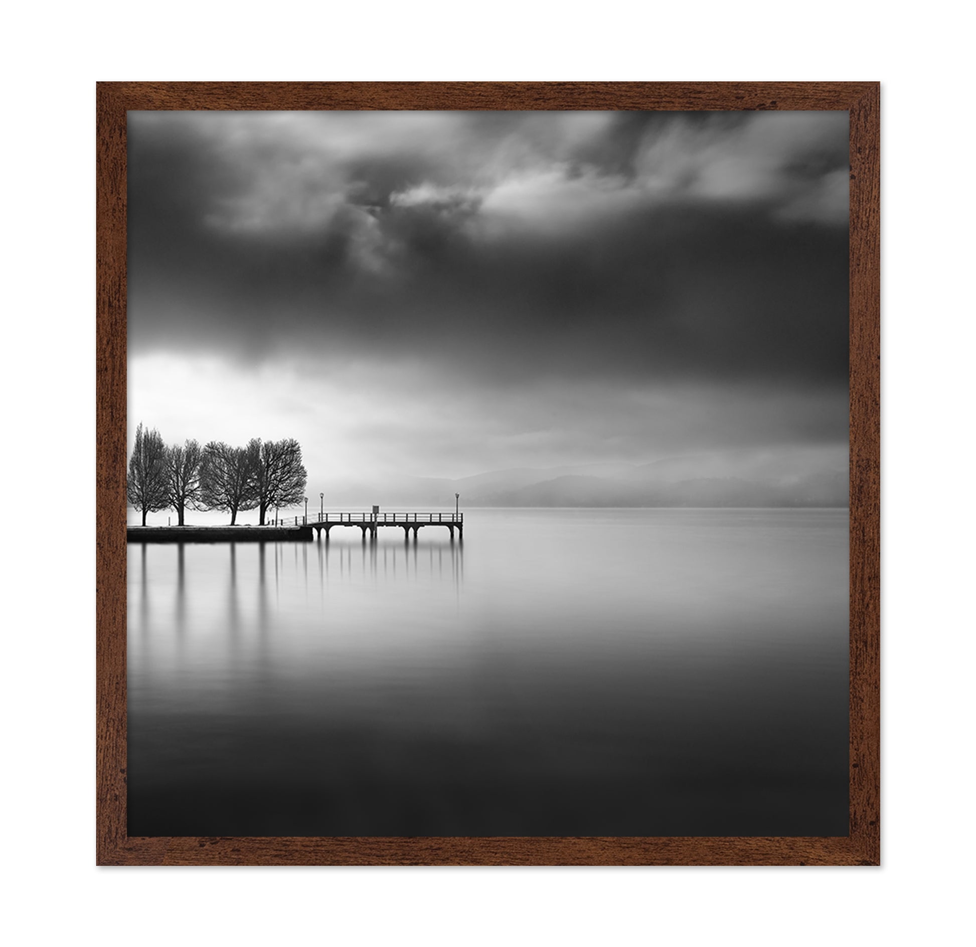 Lake View With Trees