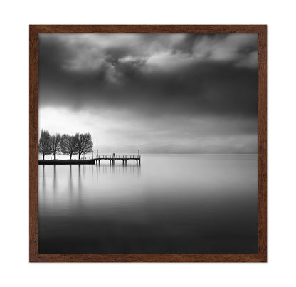 Lake View With Trees