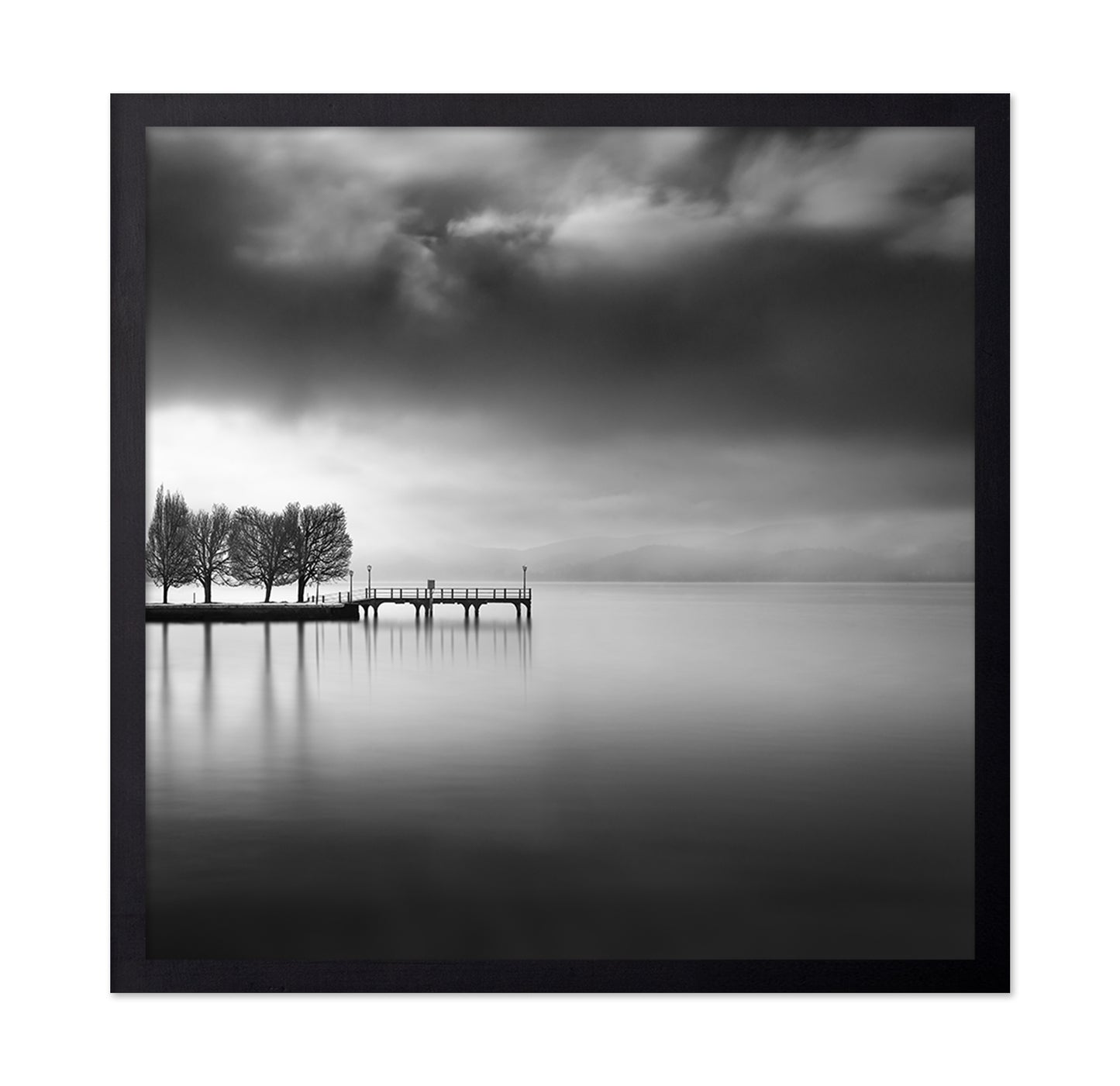 Lake View With Trees
