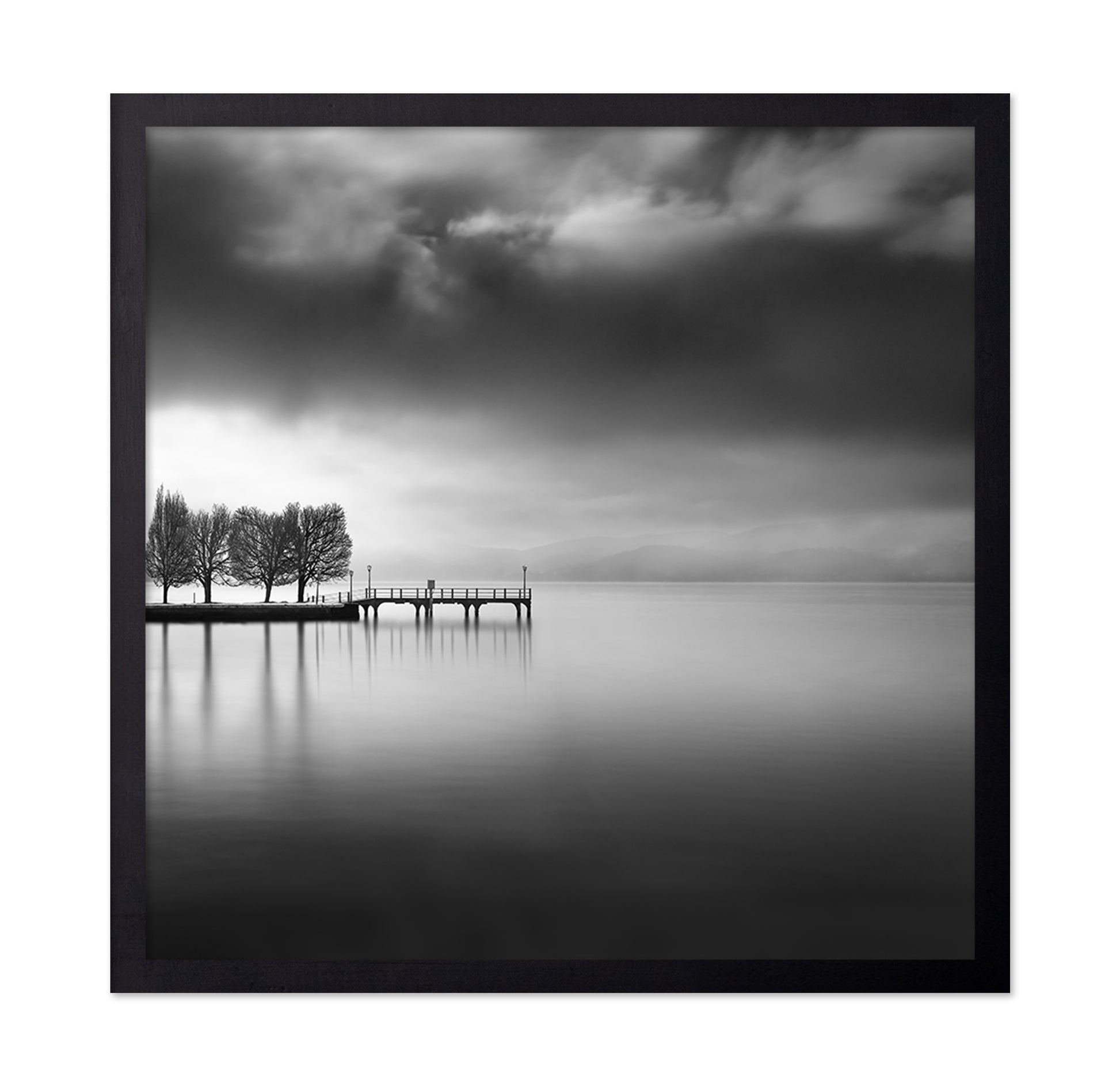 Lake View With Trees