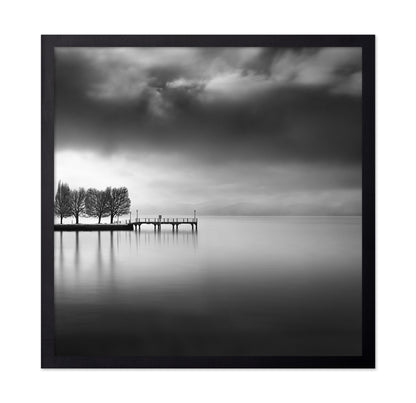 Lake View With Trees