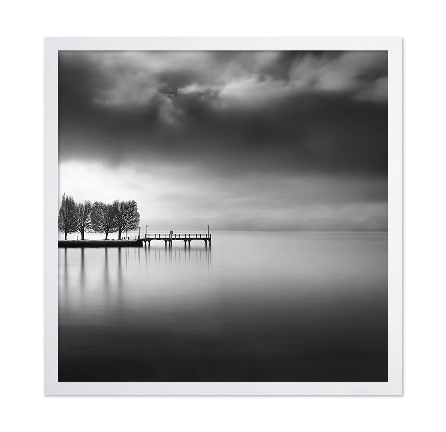 Lake View With Trees