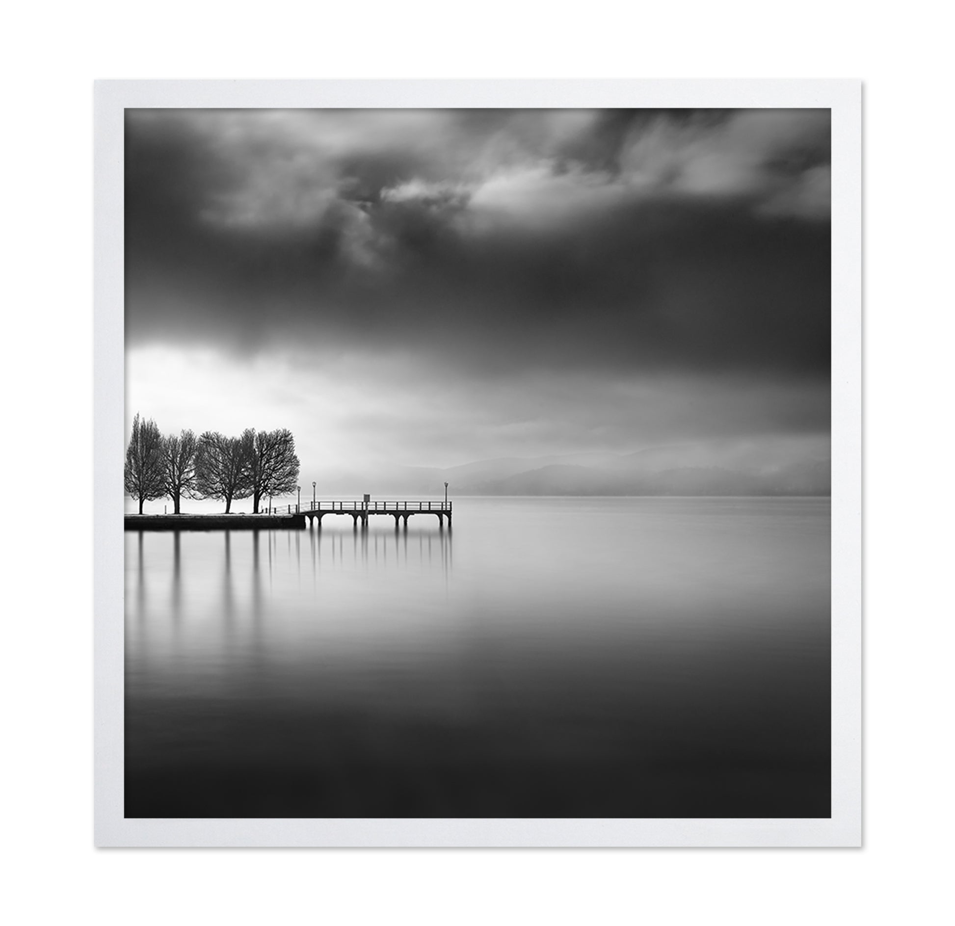 Lake View With Trees