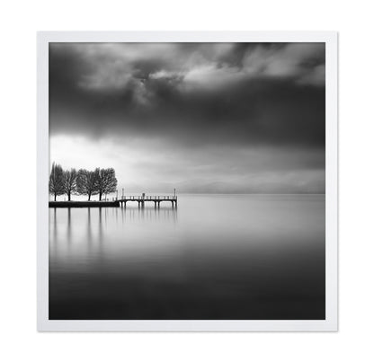 Lake View With Trees