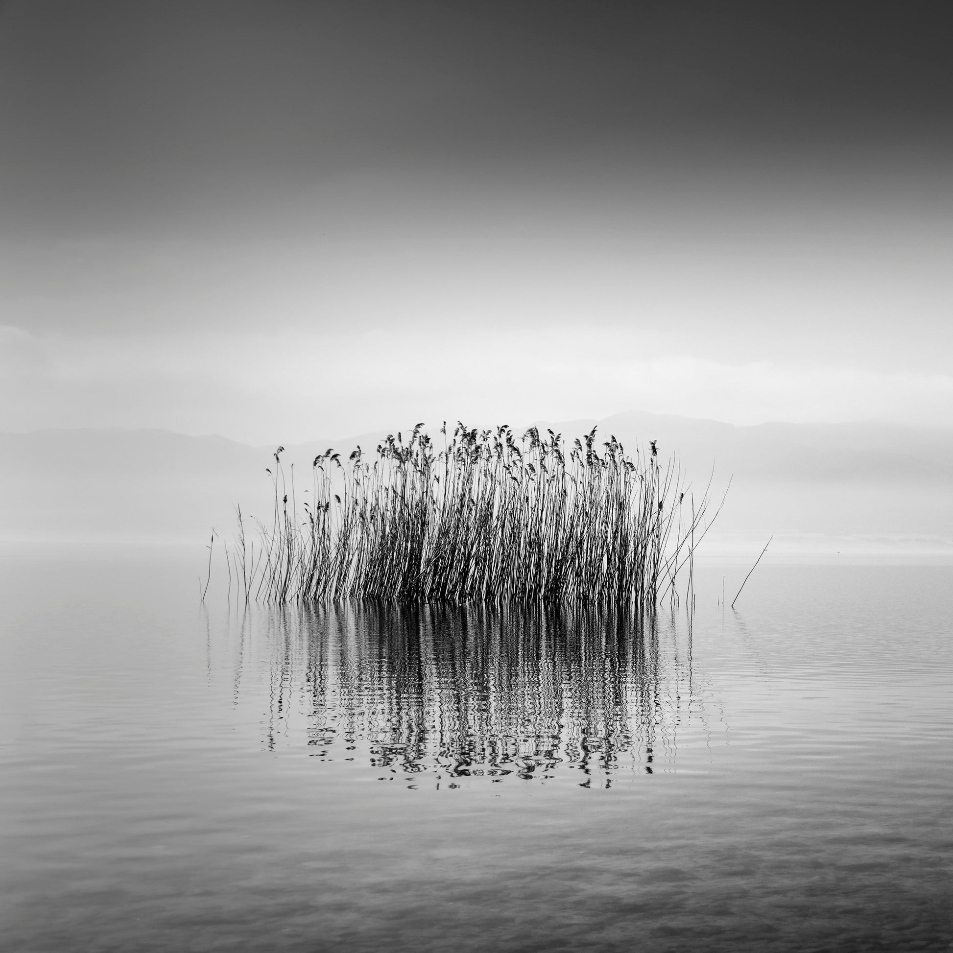 Black And White Silence