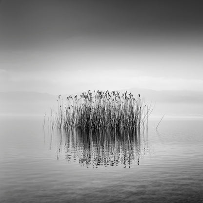 Black And White Silence