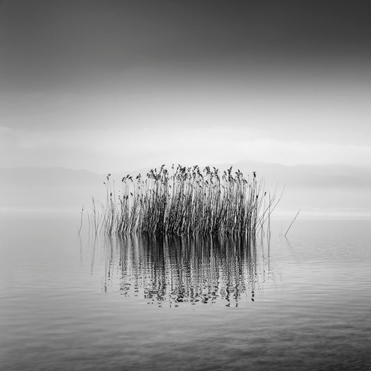 Black And White Silence