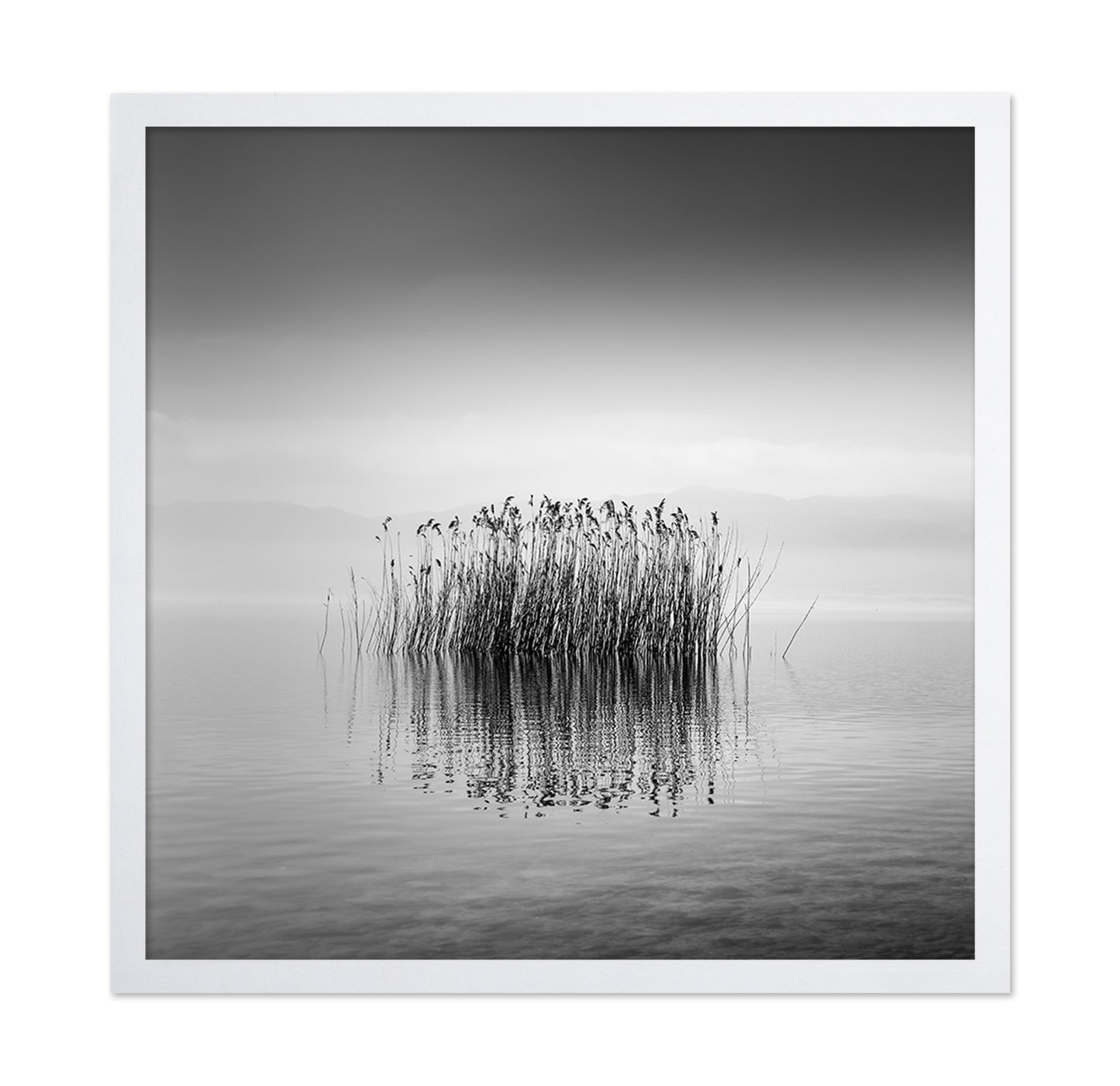 Black And White Silence