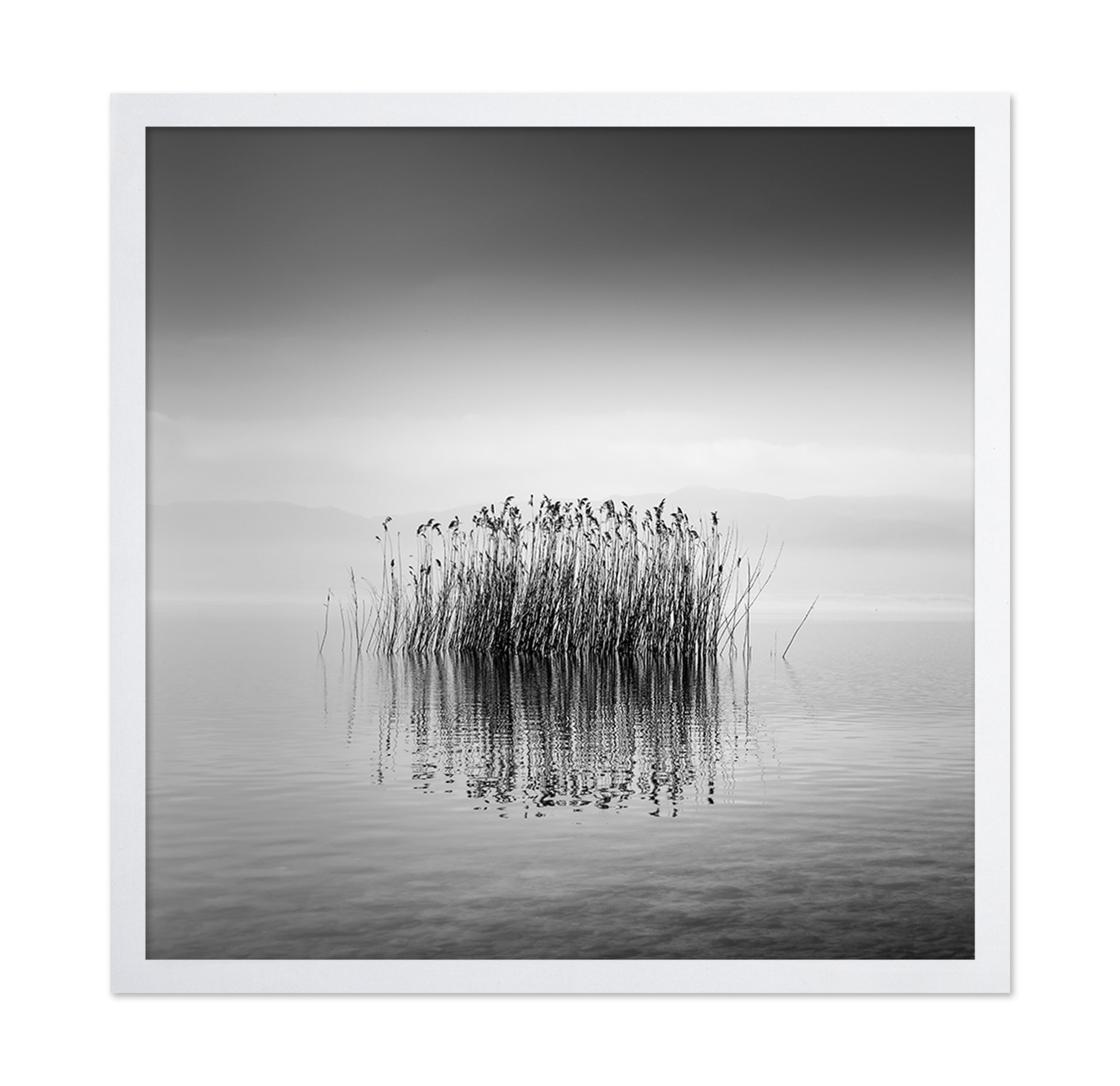 Black And White Silence