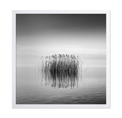Black And White Silence