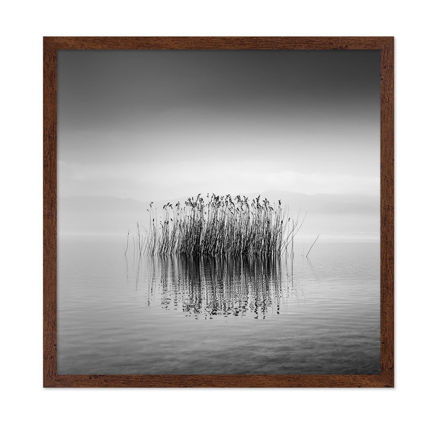 Black And White Silence