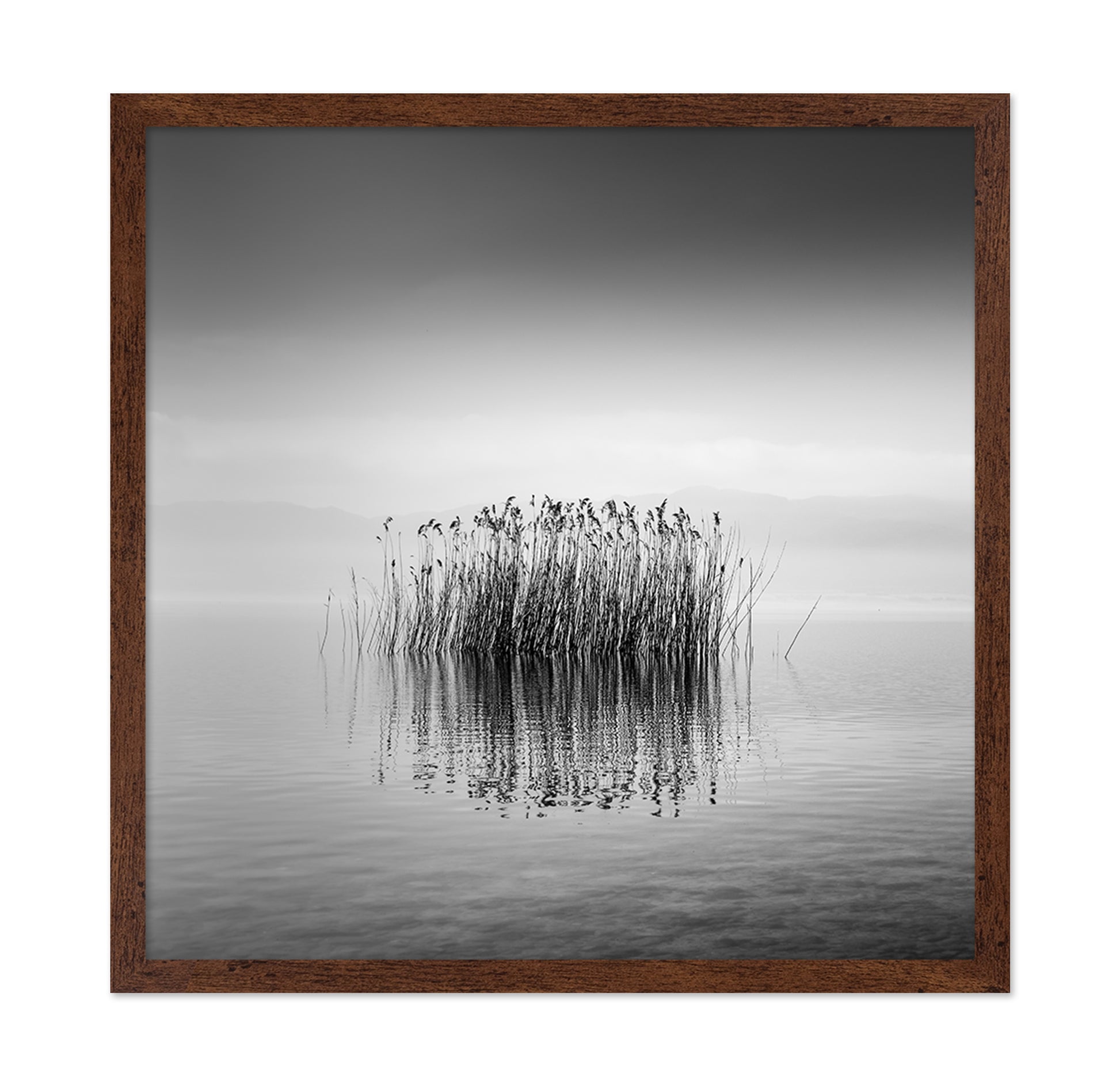 Black And White Silence