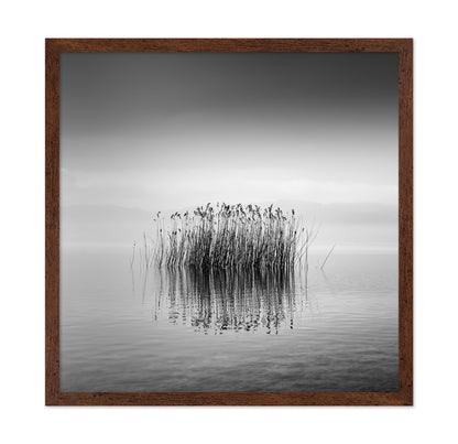 Black And White Silence