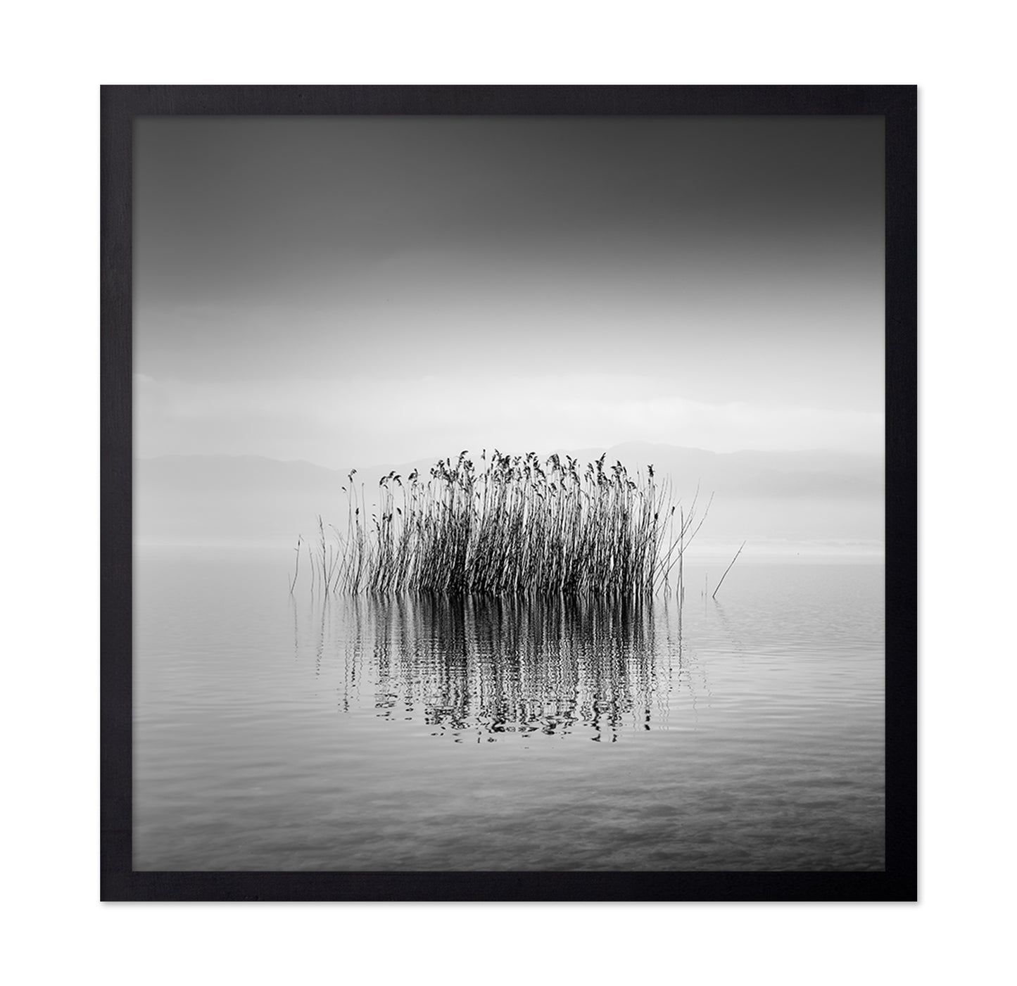 Black And White Silence