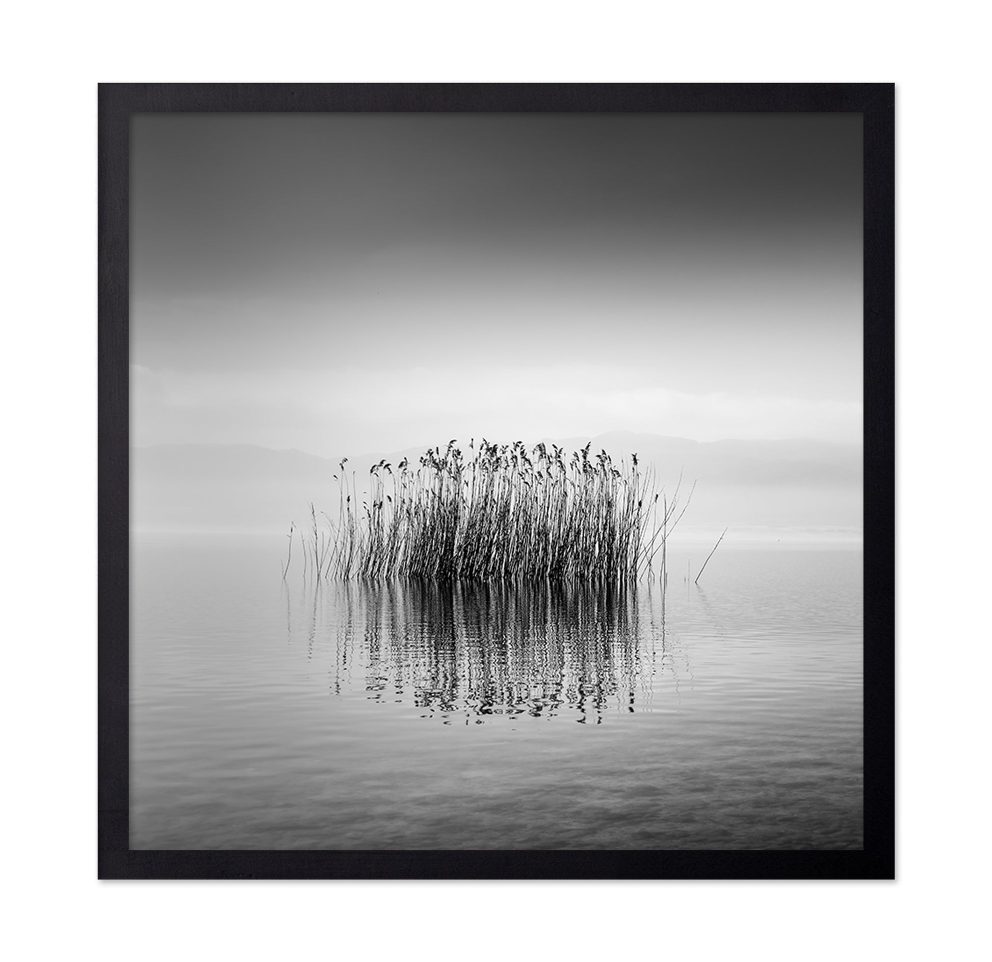 Black And White Silence