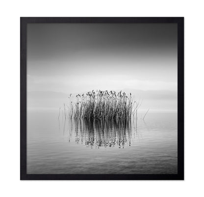 Black And White Silence