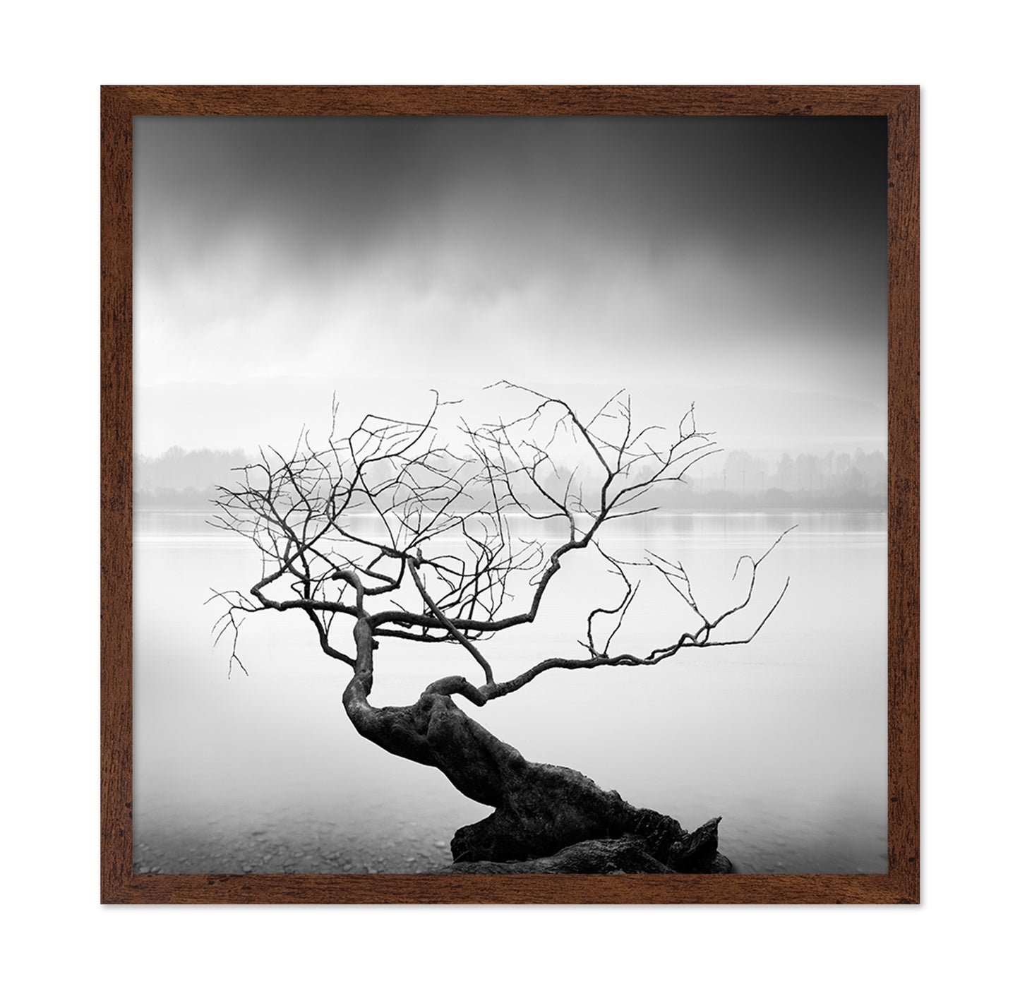 Root To Branches