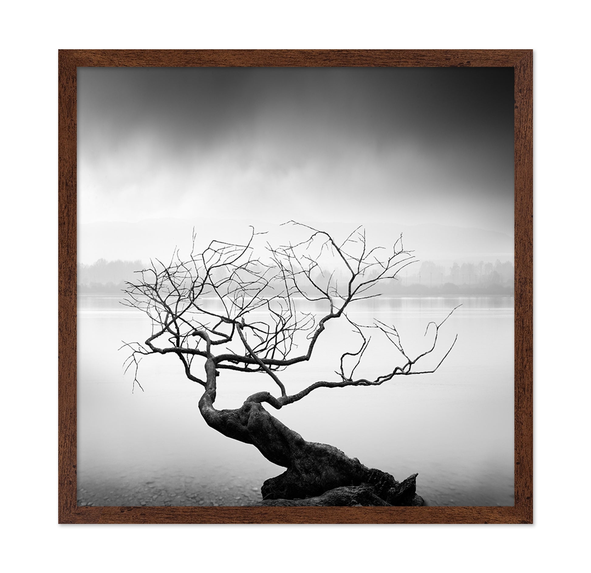 Root To Branches