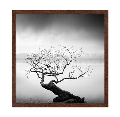 Root To Branches