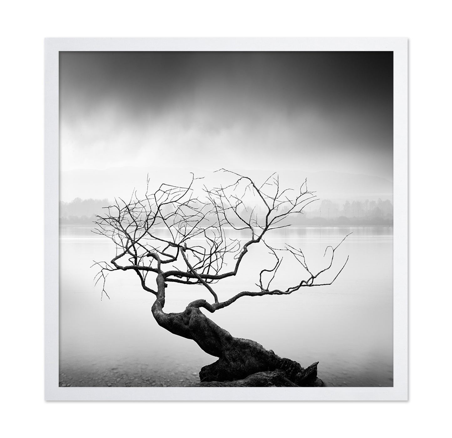 Root To Branches