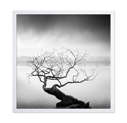 Root To Branches