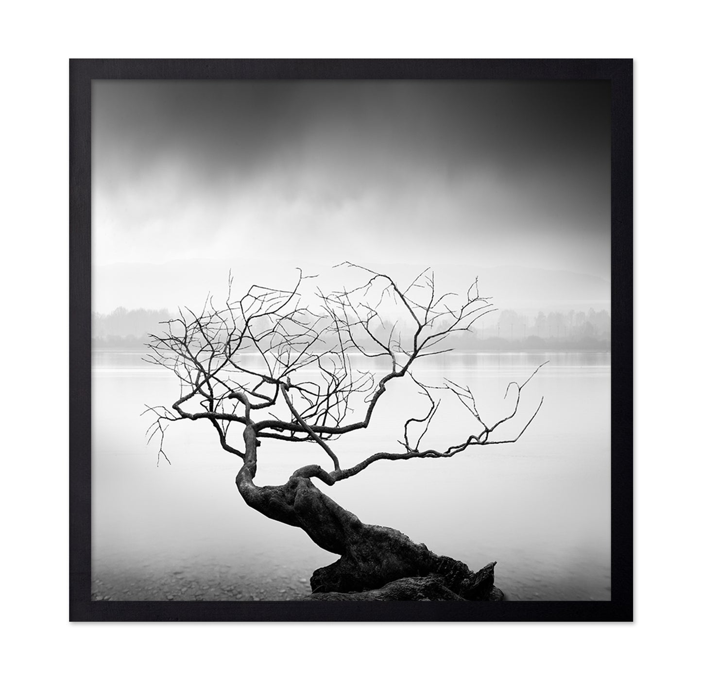 Root To Branches