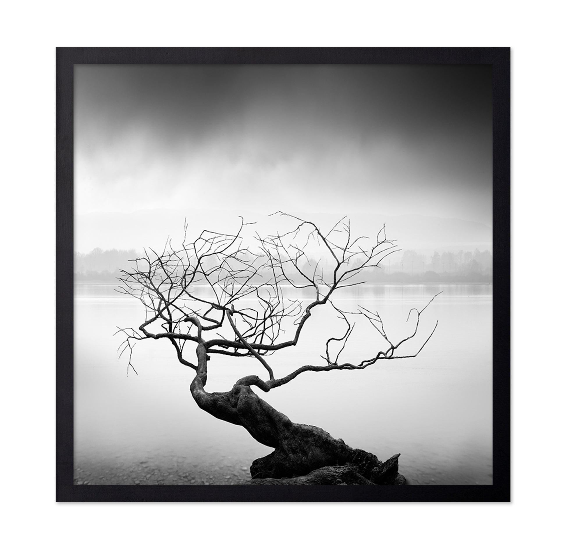 Root To Branches