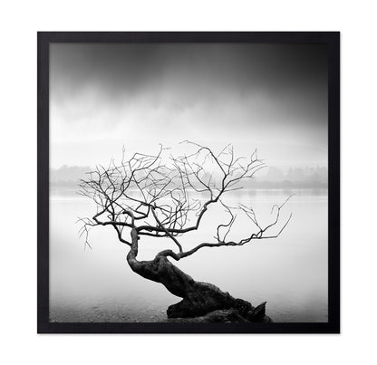 Root To Branches