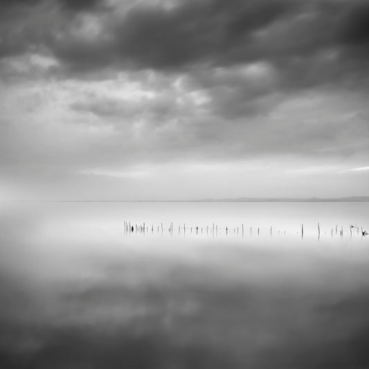 Sixty Shades Of Gray