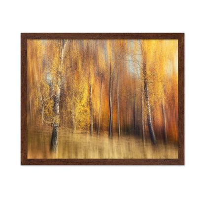 Autumn Birches