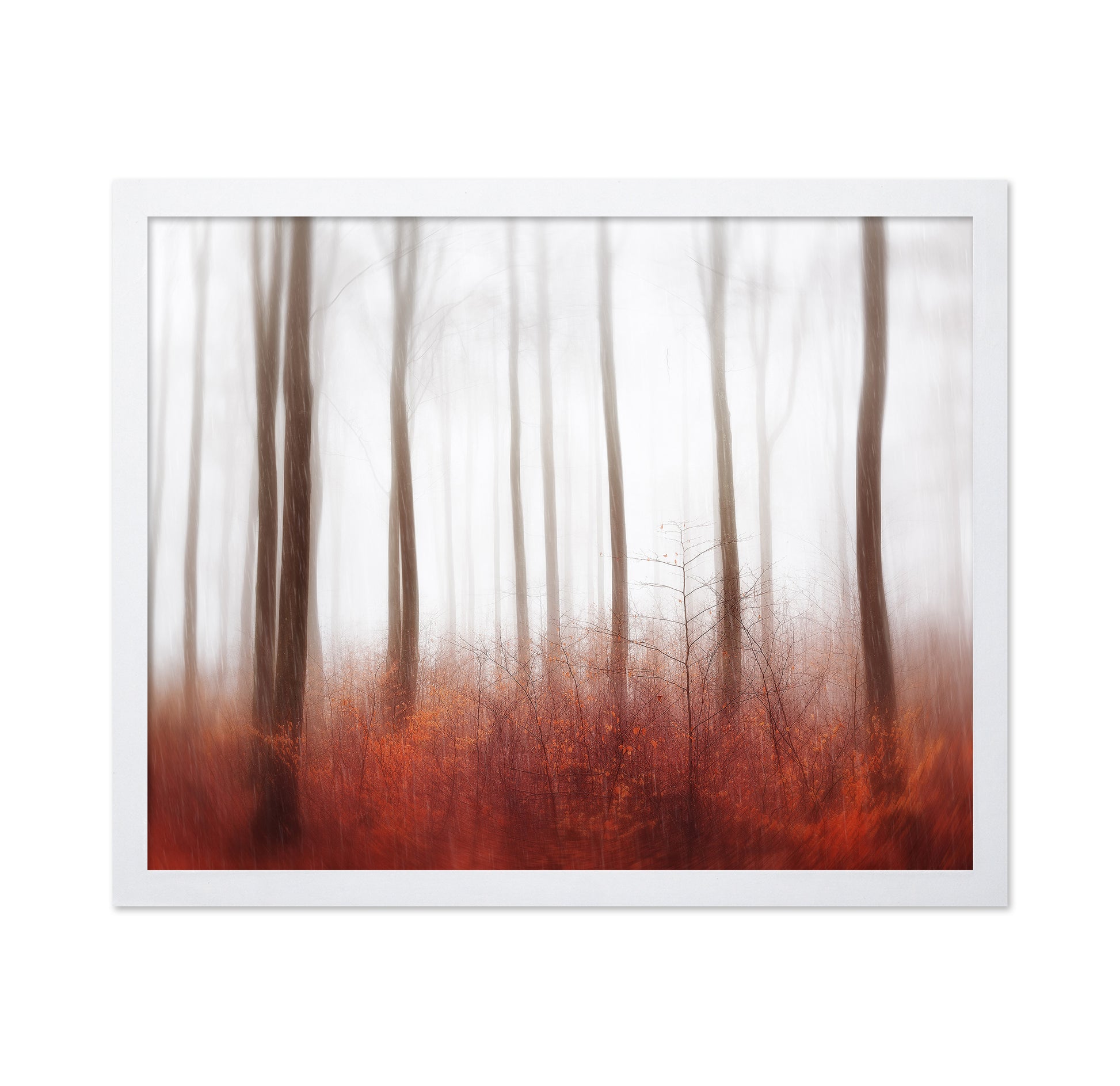 Endless Woods
