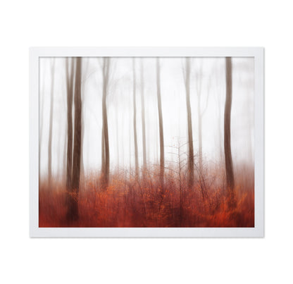 Endless Woods