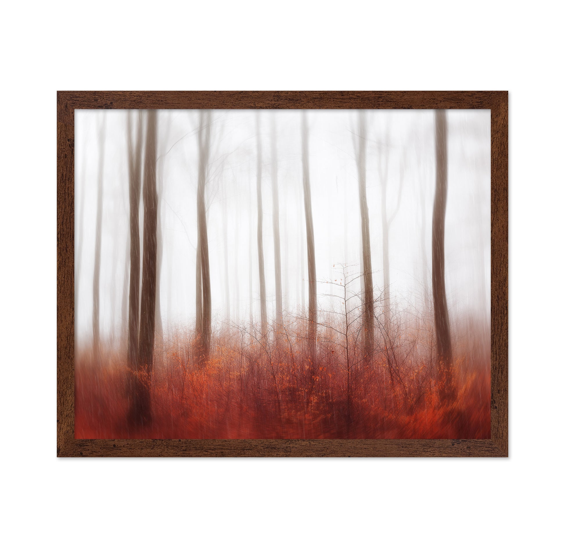 Endless Woods